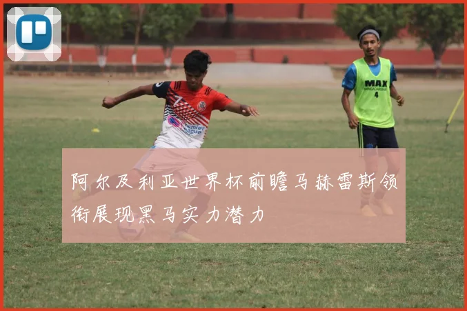 阿尔及利亚世界杯前瞻马赫雷斯领衔展现黑马实力潜力