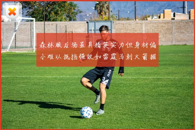 森林狼后场虽具精英实力但身材偏小难以抵挡强敌如雷霆马刺火箭掘金